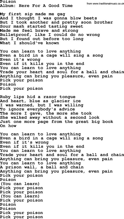 poison song lyrics|who sang the song poison.